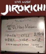 八木のぶお 電気HarpMaddness at 高円寺JIROKICHI